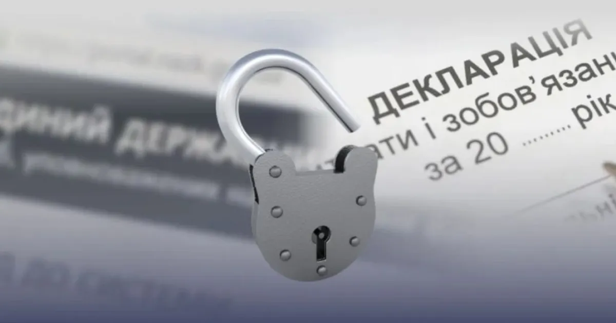 открыт реестр деклараций